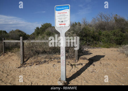 Controlli del cane segno a Holloway piegare Beach, indicando i tempi dell anno che i cani sono ammessi su off guinzaglio sulle spiagge. Foto Stock