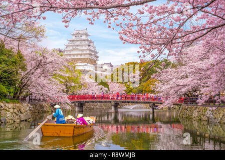 Il castello di Himeji con splendidi fiori di ciliegio in primavera Foto Stock