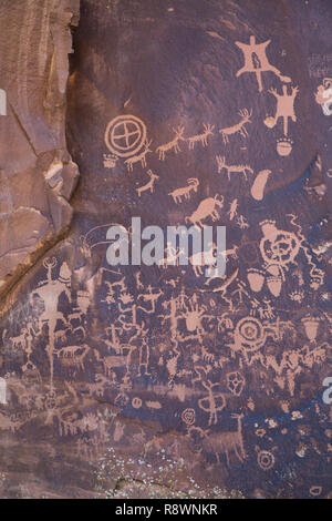 Newspaper Rock Petrogyph, inciso nella roccia da approssimare 700 BC thru 1300 annuncio, a sud di Moab, Utah, Stati Uniti d'America Foto Stock