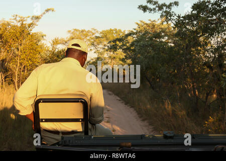 Stagliano uomo footprint di tracking dalla parte anteriore di un veicolo di safari in un sudafricano game reserve Foto Stock