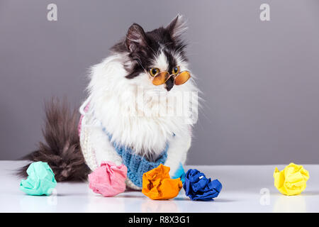 Gatto con gli occhiali vicino alle colorate carta sgualcita, concetto di accartocciata idee Foto Stock