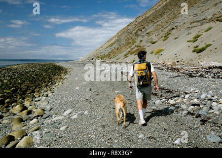 WA03552-00....WASHINGTON - escursionista con il cane sulla spiaggia di Fort Ebey parco dello stato. Foto Stock