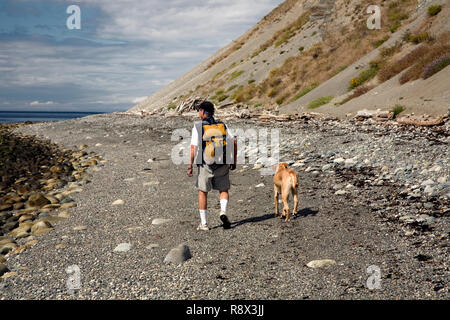 WA03553-00....WASHINGTON - escursionista con il cane sulla spiaggia di Fort Ebey parco dello stato. Foto Stock