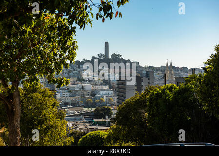 La Coit Tower da un punto alto su Lombardt Street di San Francisco Foto Stock