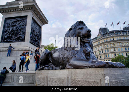 LONDON, Regno Unito - 8 Settembre 2018: la scultura di un leone in Trafalgar Square Foto Stock