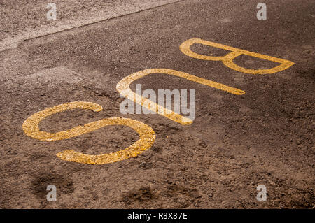 Il bus parola scritta sulla strada, vernice sulla strada, come marcatura di fermata degli autobus e la stazione, giallo di linee e testo BUS, spot per i mezzi di trasporto pubblici sul Foto Stock