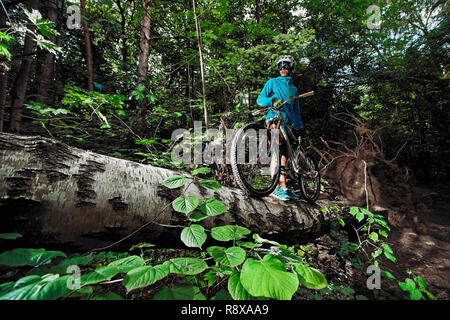 Mosca, Russia - Agosto 21, 2017: Mountain bike. Ciclista con la bici nella foresta. Foto Stock