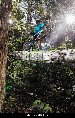 Mosca, Russia - Agosto 21, 2017: Mountain bike. Ciclista con la bici nella foresta. Foto Stock