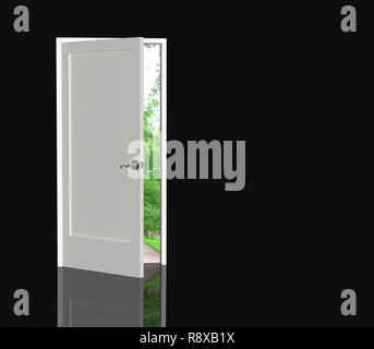 La porta aperta nel mondo reale Foto Stock