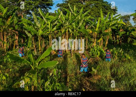 Papua Nuova Guinea, Golfo di Papua, Capitale Nazionale di Port Moresby, città di Bomana prigione, divisione femminile, prisonners giardinaggio Foto Stock