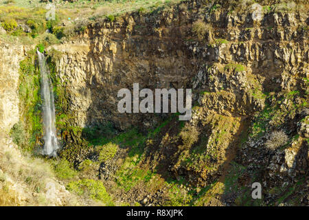 Vista di Gamla cascata in Gamla National Park (Massima caduta in Israele - 51m), Golan, nel nord di Israele Foto Stock