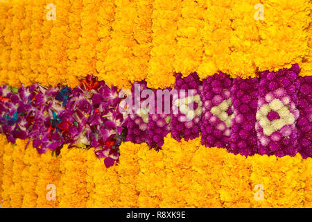 Calendula fiori ghirlanda sfondo Foto Stock