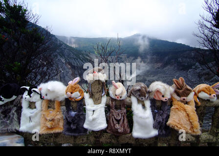 Colorato la pelle di coniglio cappelli in vendita withe Tangkuban Perahu sullo sfondo. Una delle famose località turistica nel West Java â€" Indonesia Foto Stock