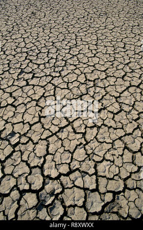 terra incrinata, argilla, strutture prismatiche nel suolo, siccità Foto Stock