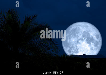 Super luna retro silhouette hill e il palm tree cielo notturno, gli elementi di questa immagine fornita dalla NASA Foto Stock