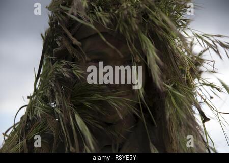 Cpl. Mitchell Tucker, una macchina gunner assegnati a scopo speciale Marine Air Ground Task Force-Crisis Response-Africa, indossa una Ghillie Suit durante una visualizzazione statica visualizza per esercitare il disgelo reale 17 a Beja, Portogallo, Marzo 14, 2017. SPMAGTF-CR-AF ha partecipato al disgelo reale 17, un portoghese-led forze congiunte esercizio, per migliorare l'interoperabilità e la capacità di cooperazione con gli alleati della NATO per il real-world operations. Foto Stock