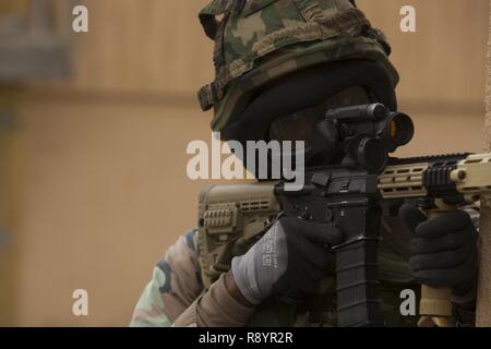 Un Royal Marine dei Paesi Bassi con l'olandese Dei Caraibi le forze di sicurezza posti durante un esercizio di formazione su Camp Lejeune, N.C. Marzo 10, 2017. La Dutch Marines utilizzato su larga scala delle risorse di formazione fornita da parte del governo degli STATI UNITI Marines al fine di simulare le operazioni militari nel terreno urbano. Foto Stock