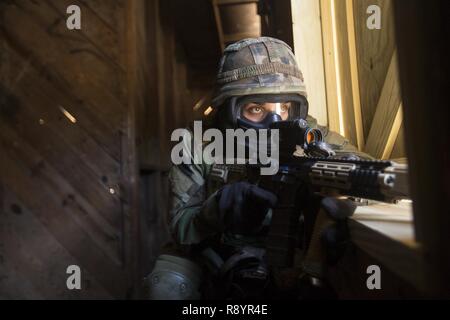 Un Royal Marine dei Paesi Bassi con l'olandese Dei Caraibi le forze di sicurezza posti durante un esercizio di formazione su Camp Lejeune, N.C. Marzo 10, 2017. La Dutch Marines utilizzato su larga scala delle risorse di formazione fornita da parte del governo degli STATI UNITI Marines al fine di simulare le operazioni militari nel terreno urbano. Foto Stock