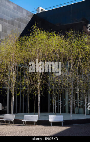 Giovani betulle bianche e panchine di fronte al nero parete esterna nel cortile del K20 Kunstsammlung NRW, Dusseldorf, Germania Foto Stock