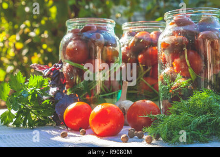 Marinata di barattoli per conserve. In casa rosso scuro sottaceti pomodori  con basilico, prezzemolo fresco, aneto, spezie d'estate all'aperto.  Alimento fermentato Foto stock - Alamy