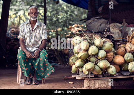 Varkala Kerala, India - 30 Novembre 2017: Ritratto di non identificato uomo indiano con coconats. Lo stile di vita quotidiano in area rurale in India del Sud. Foto Stock