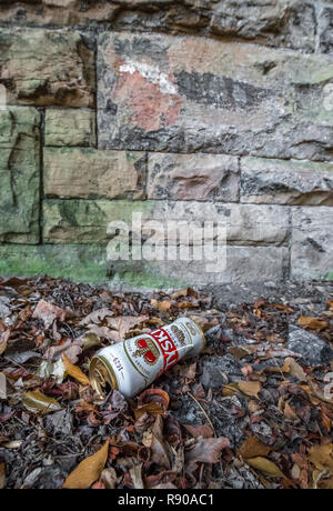 Contenitore vuoto di birra polacca gettato sul pavimento.. Foto Stock