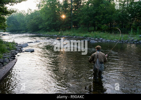 Un pescatore a mosca la colata per la pesca alla trota in un piccolo fiume in pietra nel nord-est degli Stati Uniti. Foto Stock