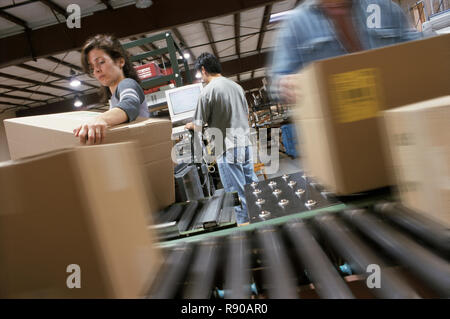 Addetti al magazzino organizzazione di scatole di cartone in movimento su un nastro trasportatore in un magazzino di distribuzione. Foto Stock