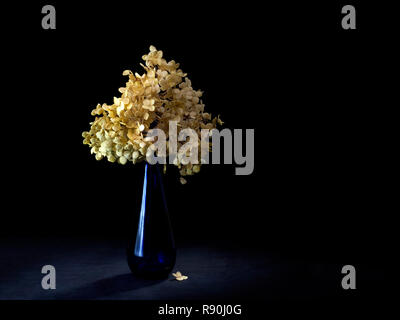 Essiccato hydrangea fiori in vaso blu. Still Life, pittura di luce. Malinconica, passare di tempo concetto. Foto Stock