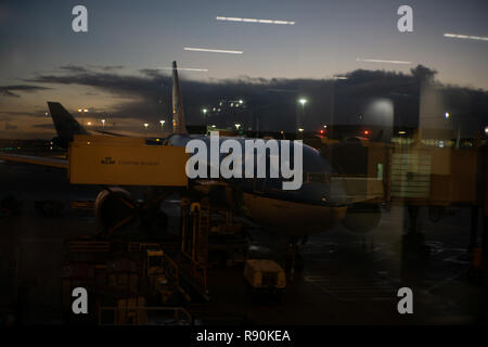 La sosta a Schiphol sul mio modo di Atene è stato breve. Per fortuna mi ha dato abbastanza tempo per sperimentare di nuovo la cultura Olandese che io amo & miss. Foto Stock