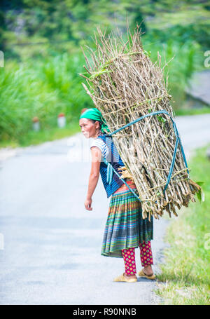 L'agricoltore vietnamita in un countrside vicino Ha Giang Vietnam Foto Stock