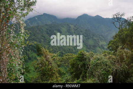 Portal i picchi del Rwenzori Mountains, Uganda Foto Stock