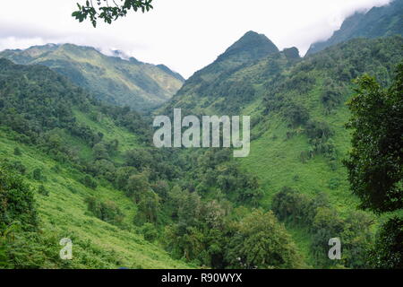 Portal i picchi del Rwenzori Mountains, Uganda Foto Stock