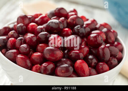 Ciotola con fresche e mature di mirtilli rossi grezzi close up Foto Stock