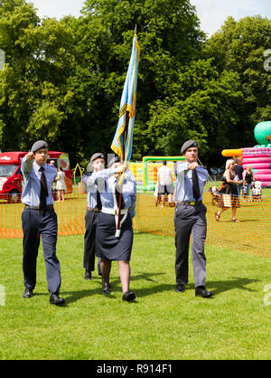 1003 Leighton Buzzard squadrone cadetti aria presentante a forze armate giorno 2014 Foto Stock