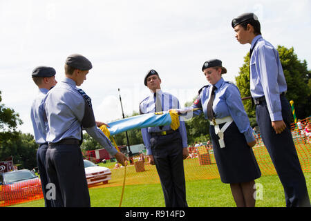 1003 Leighton Buzzard squadrone cadetti aria presentante a forze armate giorno 2014 Foto Stock