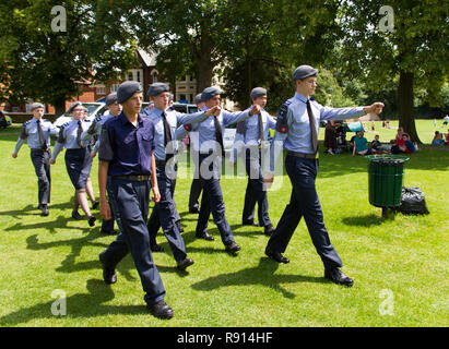 1003 Leighton Buzzard squadrone cadetti aria presentante a forze armate giorno 2014 Foto Stock