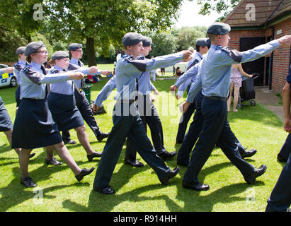 1003 Leighton Buzzard squadrone cadetti aria presentante a forze armate giorno 2014 Foto Stock