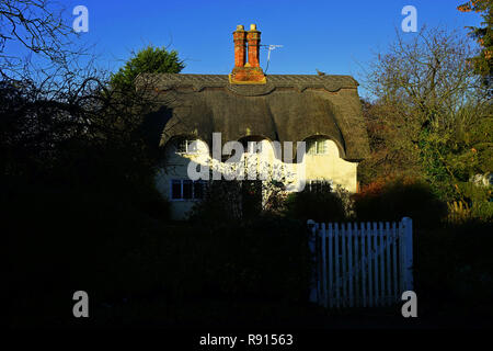 Graziosi cottage con il tetto di paglia di Old Warden, Bedfordshire Foto Stock