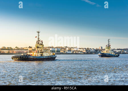 Spese di spedizione sul Tamigi. La mattina presto luce solare su rimorchiatori Svitzer Cecilia e Svitzer Brunel upriver per la cottura a vapore sul Fiume Tamigi. Foto Stock