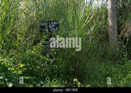 Zone umide Bigodi commuinty-led riserva faunistica, Uganda Foto Stock