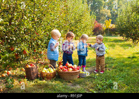 Carino bambini in piedi in autunno il giardino di Apple Foto Stock