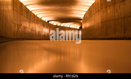 Arco di Trionfo a Parigi Sotterranea Arte pareti Metro Foto Stock