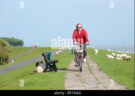 27.05.2010, Brunsbuettel, Schleswig-Holstein, Germania - Radfahrer auf dem Elbdeich. 0RX100527D234CAROEX.JPG [modello di rilascio: NO, la proprietà di rilascio: n. ( Foto Stock