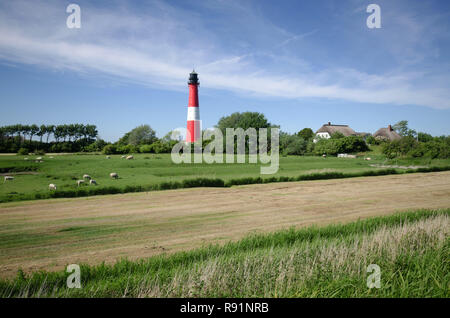 03.06.2011, Westertilli, Schleswig-Holstein, Germania - Blick auf den Leuchtturm Pellworm auf der Insel Pellworm. 0RX110603D540CAROEX.JPG [modello RELEAS Foto Stock