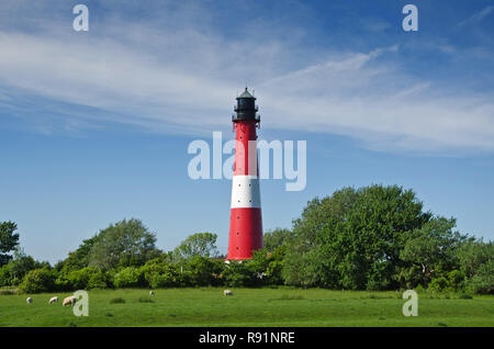 03.06.2011, Westertilli, Schleswig-Holstein, Germania - Blick auf den Leuchtturm Pellworm auf der Insel Pellworm. 0RX110603D541CAROEX.JPG [modello RELEAS Foto Stock