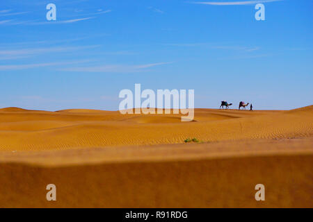 Zagora deserto,Marocco,M'Hamid, dune di sabbia Foto Stock