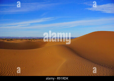 Zagora deserto,Marocco,M'Hamid, dune di sabbia Foto Stock