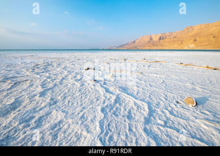 La formazione del sale causata dall'evaporazione dell'acqua sulla riva del Mar Morto, Israele Foto Stock