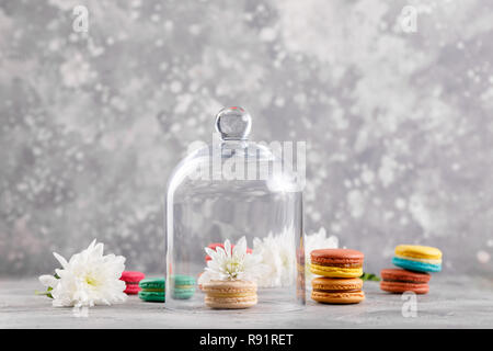 Macarons al di sotto di una cupola di vetro su uno sfondo grigio con fiori di crisantemi. Delicato macarons macarons. Foto Stock